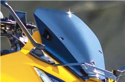 An adjustable windscreen is found on the Karizma XMR, a segment-first.